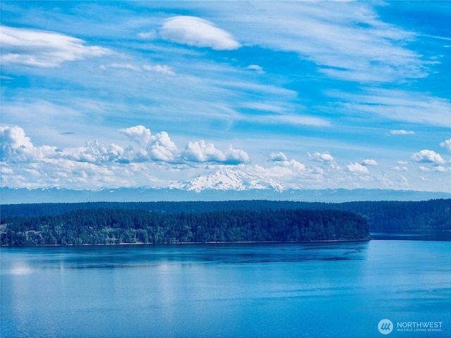 10111 Totem Way, Anderson Island, WA 98303