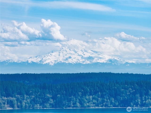 10111 Totem Way, Anderson Island, WA 98303
