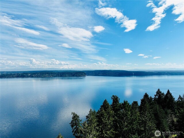 10111 Totem Way, Anderson Island, WA 98303