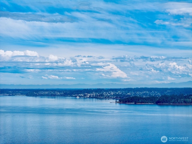 10111 Totem Way, Anderson Island, WA 98303