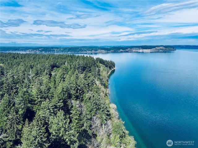 10111 Totem Way, Anderson Island, WA 98303