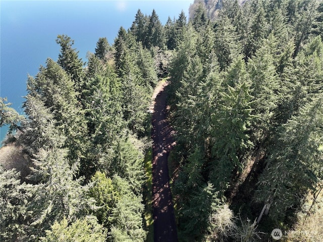 10111 Totem Way, Anderson Island, WA 98303