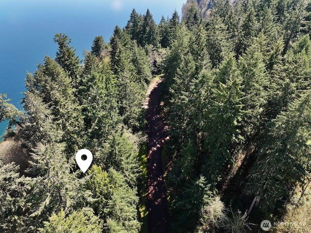 10111 Totem Way, Anderson Island, WA 98303