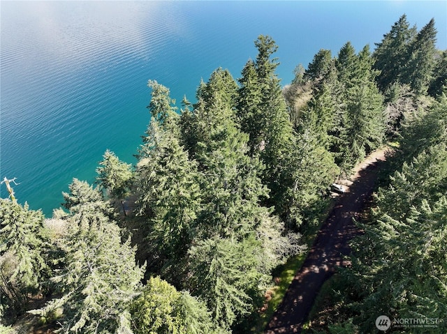 10111 Totem Way, Anderson Island, WA 98303