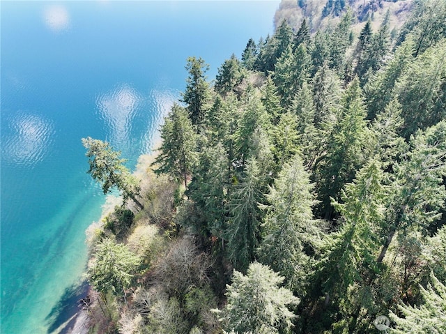 10111 Totem Way, Anderson Island, WA 98303
