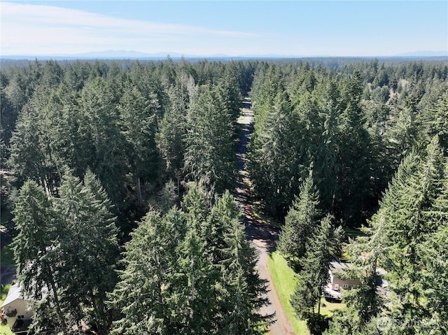 10111 Totem Way, Anderson Island, WA 98303