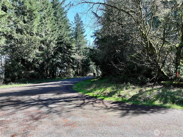 10111 Totem Way, Anderson Island, WA 98303