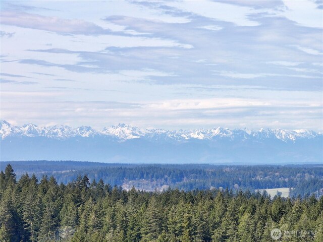 10111 Totem Way, Anderson Island, WA 98303