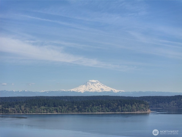 10111 Totem Way, Anderson Island, WA 98303
