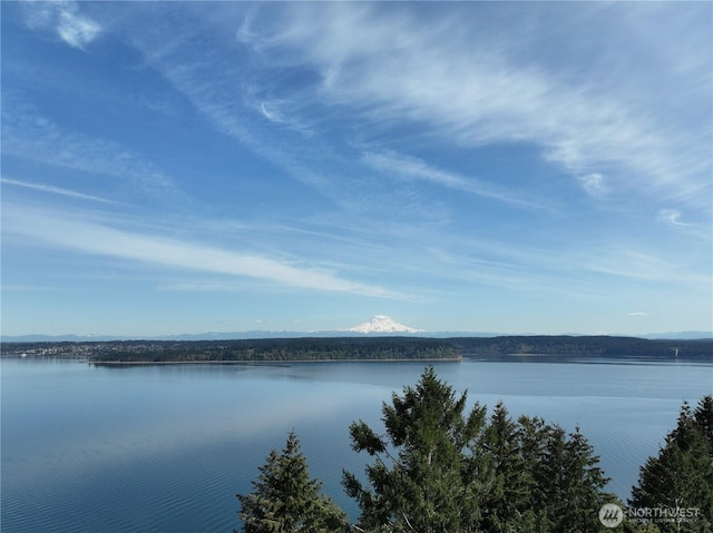 10111 Totem Way, Anderson Island, WA 98303