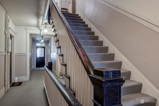 staircase featuring carpet flooring