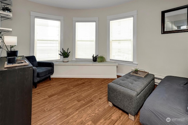 living area featuring hardwood / wood-style floors and a wealth of natural light