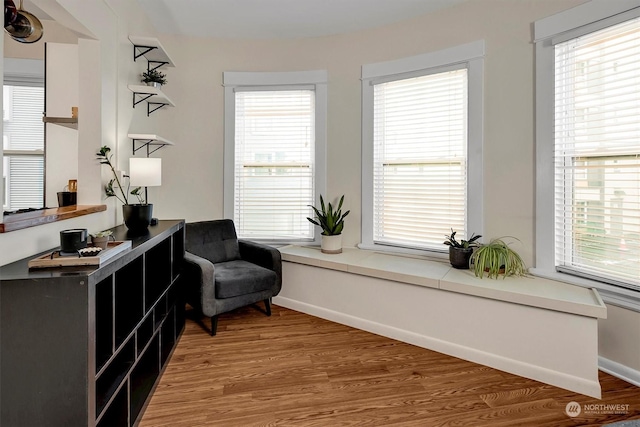 sitting room with wood-type flooring and a healthy amount of sunlight