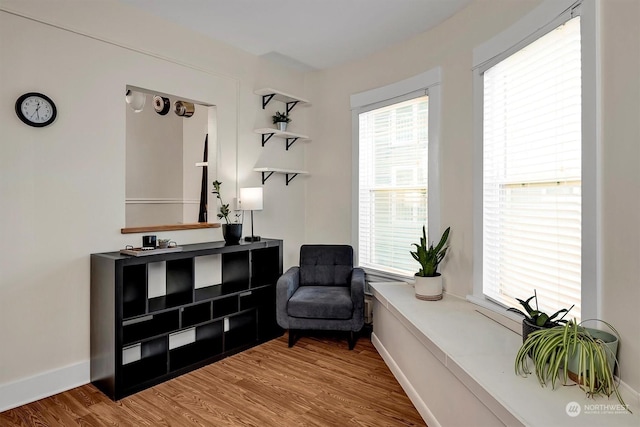 living area with wood-type flooring and a healthy amount of sunlight