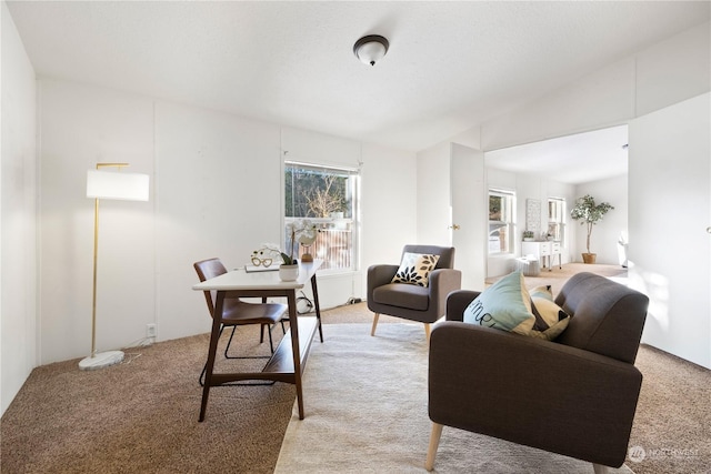 carpeted living room with vaulted ceiling and a textured ceiling