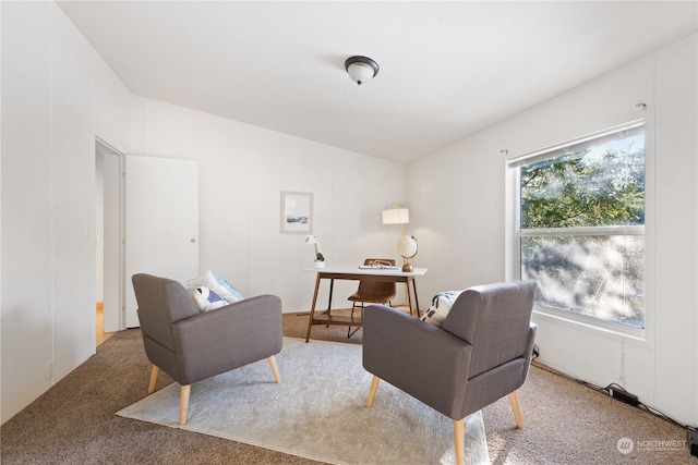 view of carpeted living room