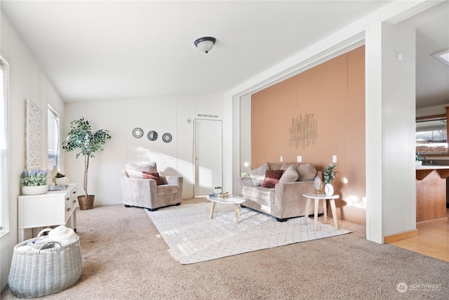 carpeted living room with plenty of natural light