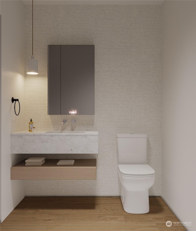 bathroom featuring vanity, wood finished floors, and toilet