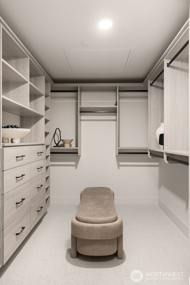 238 4th Ave Unit 100, Kirkland, WA 98033 - walk in closet featuring attic access