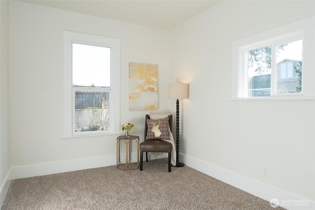 sitting room with carpet