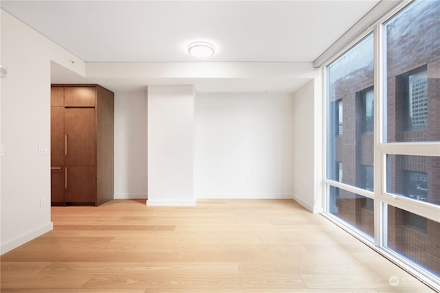 unfurnished room featuring light wood-type flooring