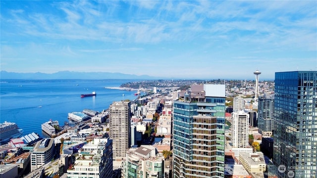 birds eye view of property featuring a water and mountain view