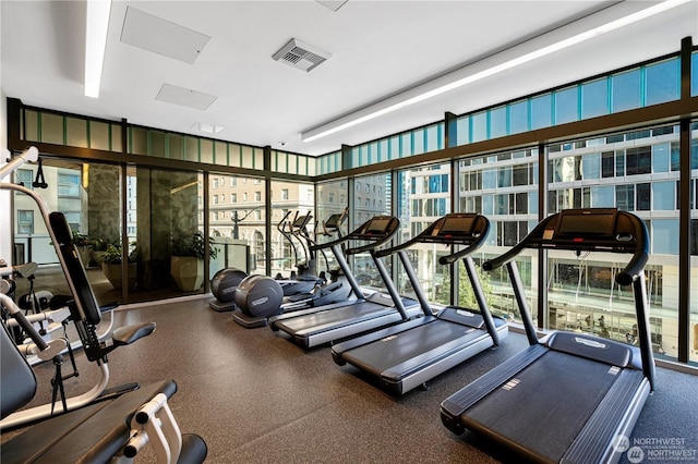 gym with expansive windows