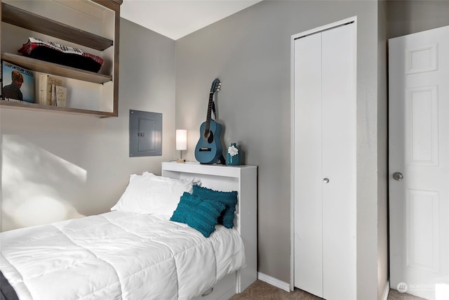 bedroom with carpet, electric panel, baseboards, and a closet