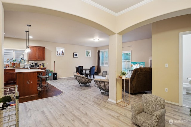 living room featuring ornamental molding and light hardwood / wood-style flooring