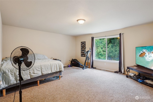 bedroom with carpet