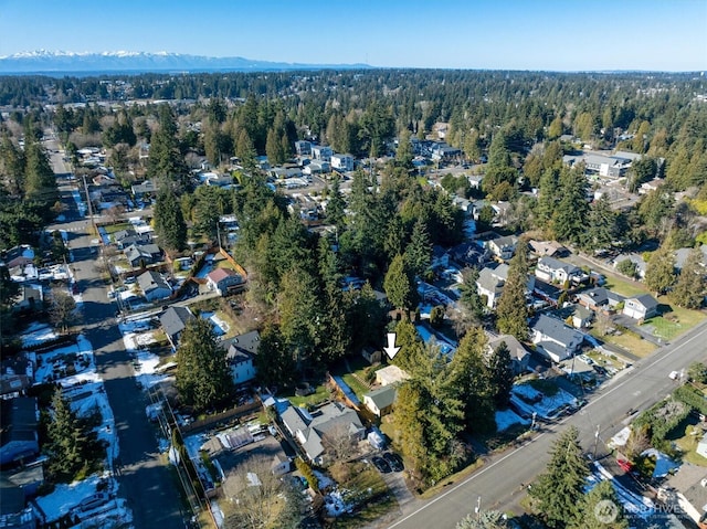 17017 10th Ave NE, Shoreline, WA 98155 - bird's eye view featuring a mountain view and a view of trees