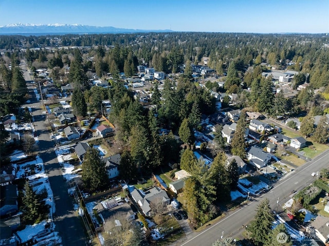 17017 10th Ave NE, Shoreline, WA 98155 - bird's eye view with a wooded view