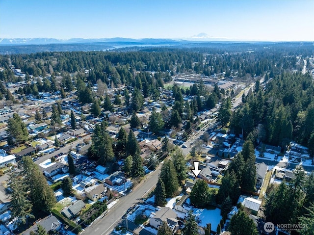 17017 10th Ave NE, Shoreline, WA 98155 - aerial view with a mountain view and a wooded view