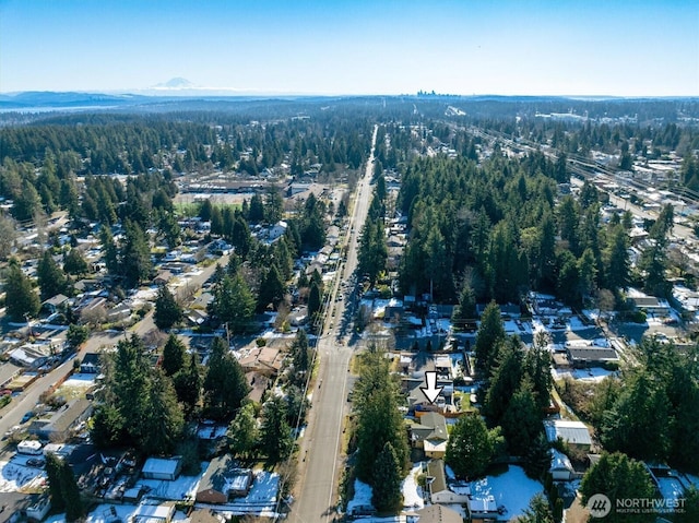 17017 10th Ave NE, Shoreline, WA 98155 - bird's eye view