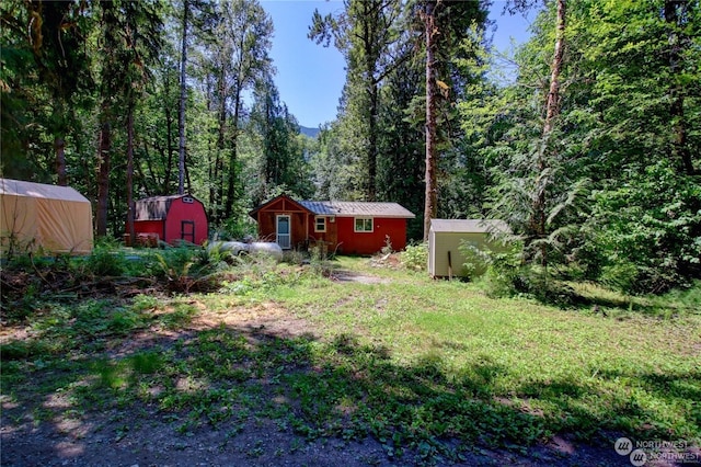 view of yard featuring a storage shed