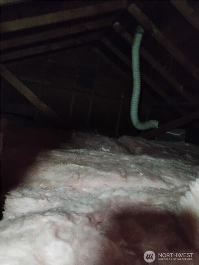 view of unfinished attic