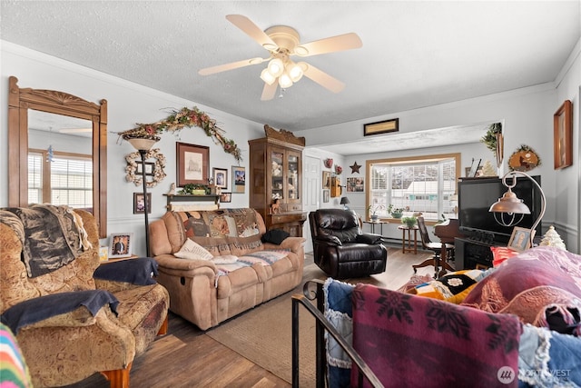 living area featuring ornamental molding, a wealth of natural light, a textured ceiling, and wood finished floors