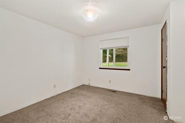 unfurnished room with carpet floors and a textured ceiling