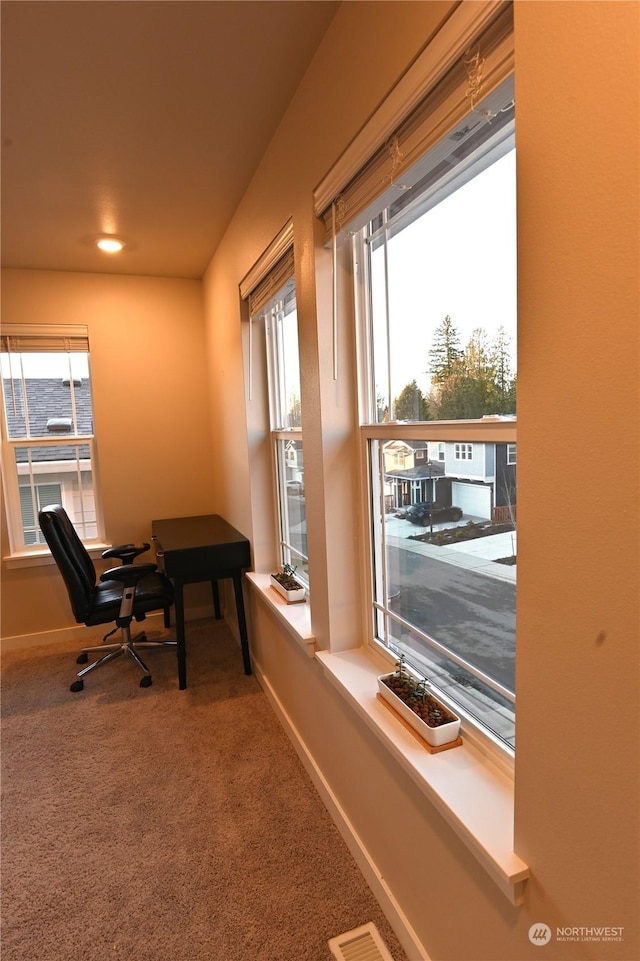 office area featuring a wealth of natural light and carpet flooring