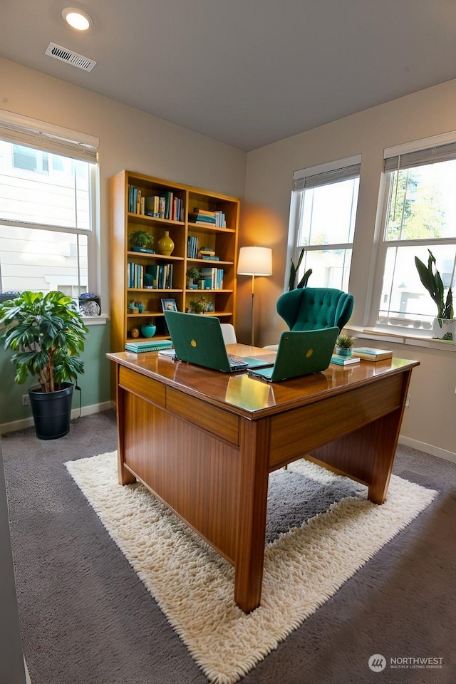 office space with plenty of natural light and carpet flooring