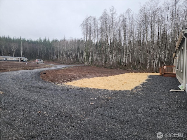 view of yard featuring a forest view