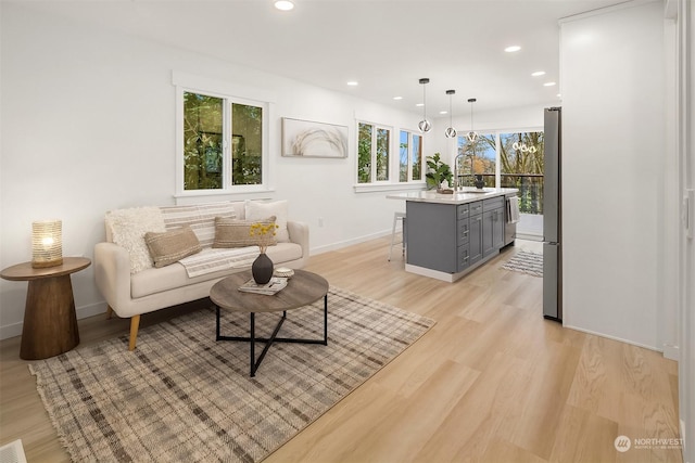 living room with sink and light hardwood / wood-style flooring