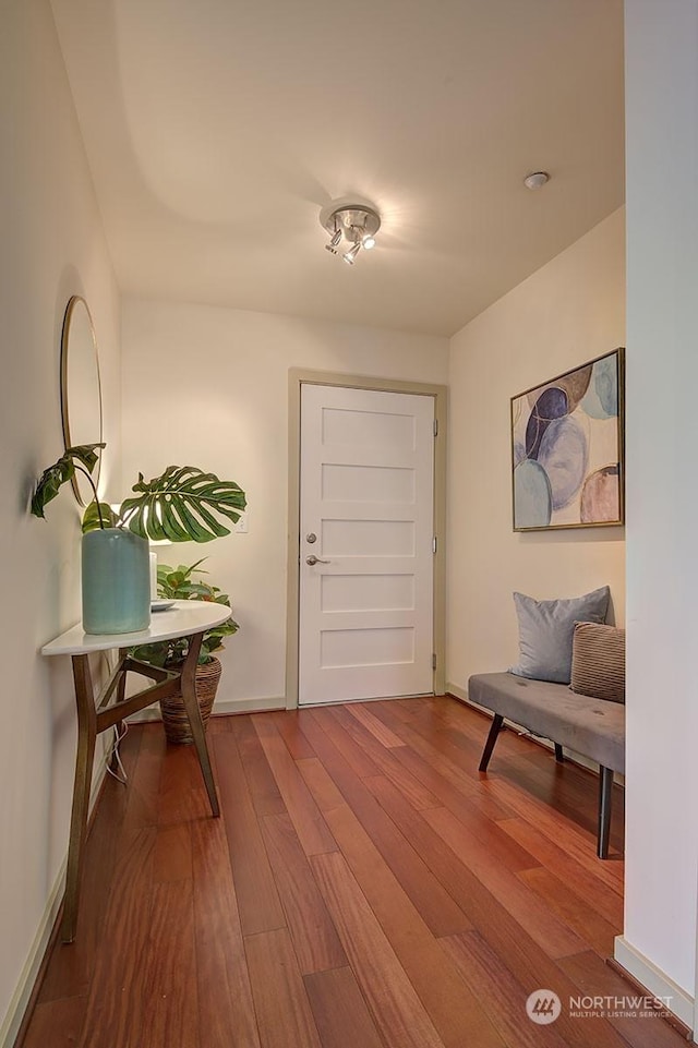 entryway with hardwood / wood-style flooring