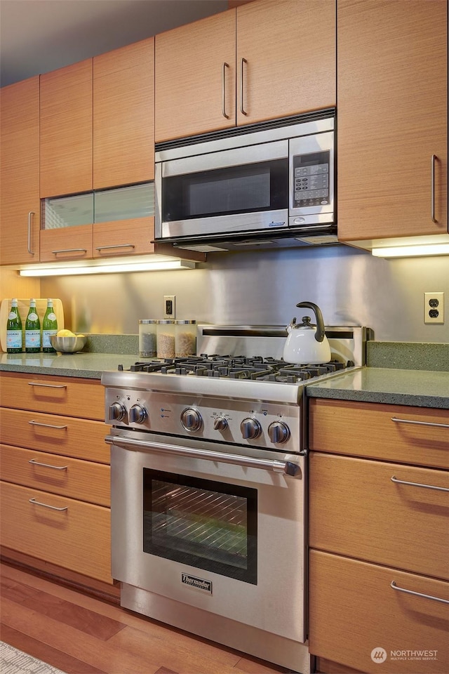 kitchen with appliances with stainless steel finishes and light hardwood / wood-style flooring