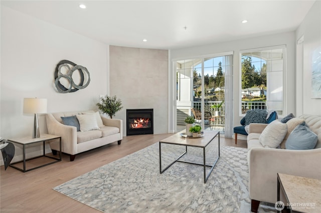 living room featuring a fireplace and light hardwood / wood-style flooring