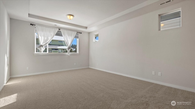 empty room featuring a raised ceiling and carpet