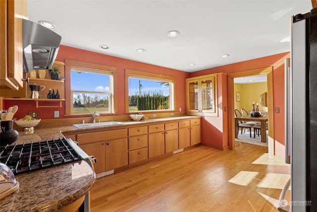 kitchen featuring sink, light wood-type flooring, and extractor fan