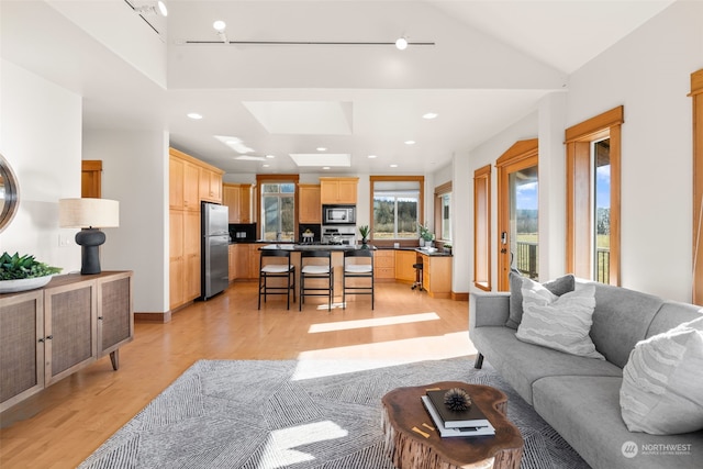 living room featuring lofted ceiling and light hardwood / wood-style flooring