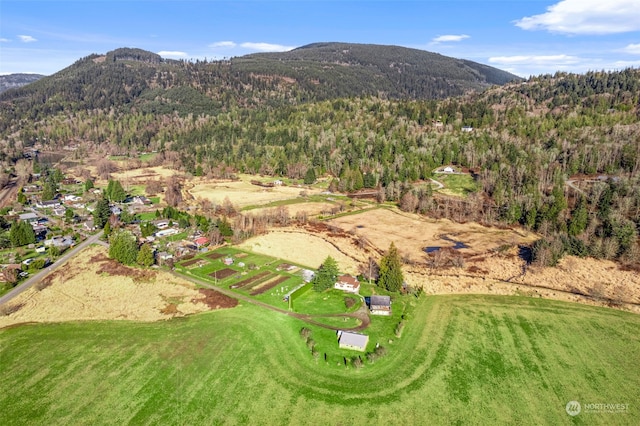 birds eye view of property featuring a mountain view