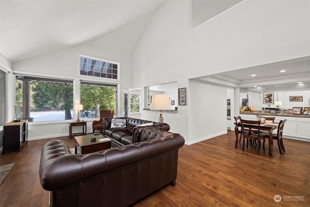 living room featuring dark wood-type flooring and high vaulted ceiling